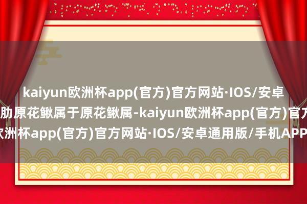 kaiyun欧洲杯app(官方)官方网站·IOS/安卓通用版/手机APP下载长肋原花鳅属于原花鳅属-kaiyun欧洲杯app(官方)官方网站·IOS/安卓通用版/手机APP下载