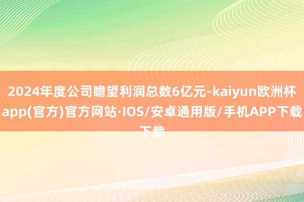 2024年度公司瞻望利润总数6亿元-kaiyun欧洲杯app(官方)官方网站·IOS/安卓通用版/手机APP下载