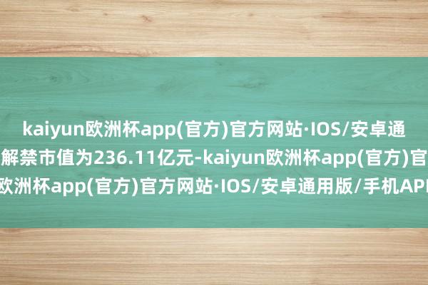 kaiyun欧洲杯app(官方)官方网站·IOS/安卓通用版/手机APP下载共计解禁市值为236.11亿元-kaiyun欧洲杯app(官方)官方网站·IOS/安卓通用版/手机APP下载