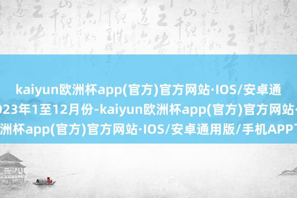 kaiyun欧洲杯app(官方)官方网站·IOS/安卓通用版/手机APP下载 2023年1至12月份-kaiyun欧洲杯app(官方)官方网站·IOS/安卓通用版/手机APP下载