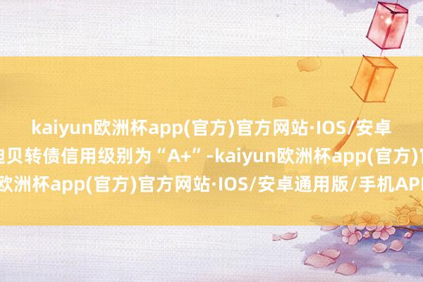 kaiyun欧洲杯app(官方)官方网站·IOS/安卓通用版/手机APP下载迪贝转债信用级别为“A+”-kaiyun欧洲杯app(官方)官方网站·IOS/安卓通用版/手机APP下载