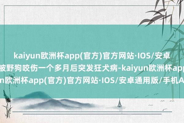 kaiyun欧洲杯app(官方)官方网站·IOS/安卓通用版/手机APP下载在被野狗咬伤一个多月后突发狂犬病-kaiyun欧洲杯app(官方)官方网站·IOS/安卓通用版/手机APP下载