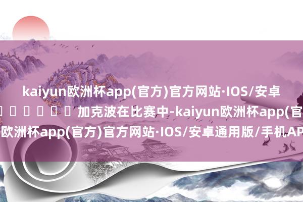 kaiyun欧洲杯app(官方)官方网站·IOS/安卓通用版/手机APP下载							加克波在比赛中-kaiyun欧洲杯app(官方)官方网站·IOS/安卓通用版/手机APP下载