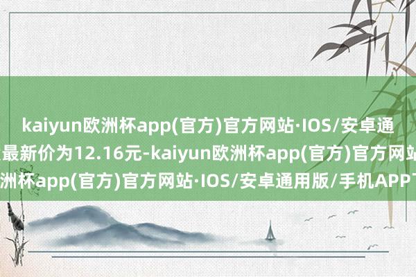 kaiyun欧洲杯app(官方)官方网站·IOS/安卓通用版/手机APP下载正股最新价为12.16元-kaiyun欧洲杯app(官方)官方网站·IOS/安卓通用版/手机APP下载