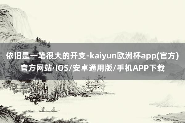 依旧是一笔很大的开支-kaiyun欧洲杯app(官方)官方网站·IOS/安卓通用版/手机APP下载