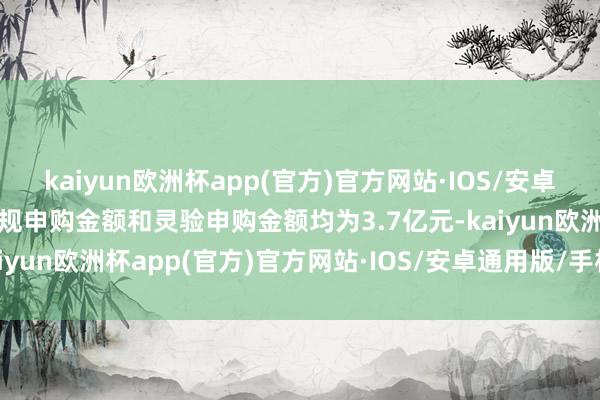 kaiyun欧洲杯app(官方)官方网站·IOS/安卓通用版/手机APP下载合规申购金额和灵验申购金额均为3.7亿元-kaiyun欧洲杯app(官方)官方网站·IOS/安卓通用版/手机APP下载