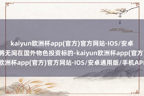 kaiyun欧洲杯app(官方)官方网站·IOS/安卓通用版/手机APP下载并将无间在国外物色投资标的-kaiyun欧洲杯app(官方)官方网站·IOS/安卓通用版/手机APP下载