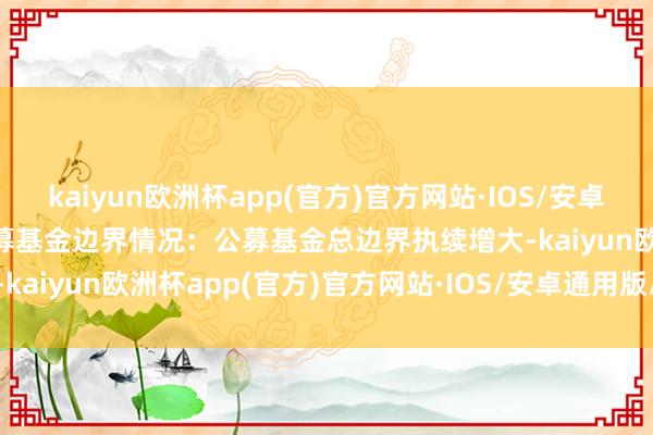 kaiyun欧洲杯app(官方)官方网站·IOS/安卓通用版/手机APP下载　　公募基金边界情况：公募基金总边界执续增大-kaiyun欧洲杯app(官方)官方网站·IOS/安卓通用版/手机APP下载