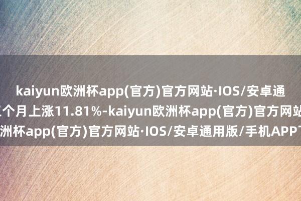 kaiyun欧洲杯app(官方)官方网站·IOS/安卓通用版/手机APP下载近三个月上涨11.81%-kaiyun欧洲杯app(官方)官方网站·IOS/安卓通用版/手机APP下载