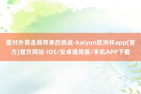 面对外需走弱带来的挑战-kaiyun欧洲杯app(官方)官方网站·IOS/安卓通用版/手机APP下载