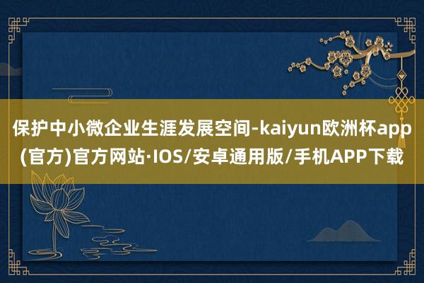 保护中小微企业生涯发展空间-kaiyun欧洲杯app(官方)官方网站·IOS/安卓通用版/手机APP下载