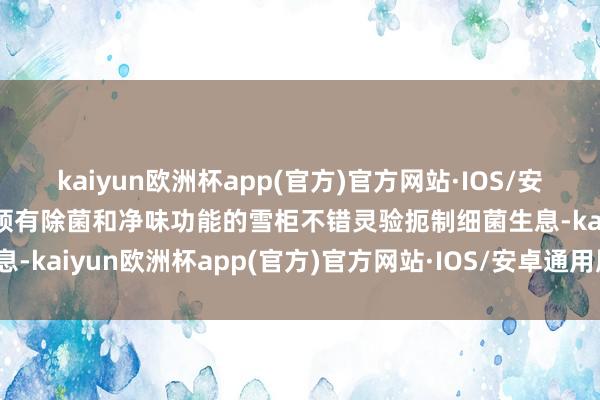 kaiyun欧洲杯app(官方)官方网站·IOS/安卓通用版/手机APP下载领有除菌和净味功能的雪柜不错灵验扼制细菌生息-kaiyun欧洲杯app(官方)官方网站·IOS/安卓通用版/手机APP下载