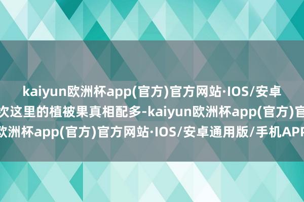 kaiyun欧洲杯app(官方)官方网站·IOS/安卓通用版/手机APP下载其次这里的植被果真相配多-kaiyun欧洲杯app(官方)官方网站·IOS/安卓通用版/手机APP下载