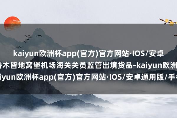 kaiyun欧洲杯app(官方)官方网站·IOS/安卓通用版/手机APP下载乌鲁木皆地窝堡机场海关关员监管出境货品-kaiyun欧洲杯app(官方)官方网站·IOS/安卓通用版/手机APP下载