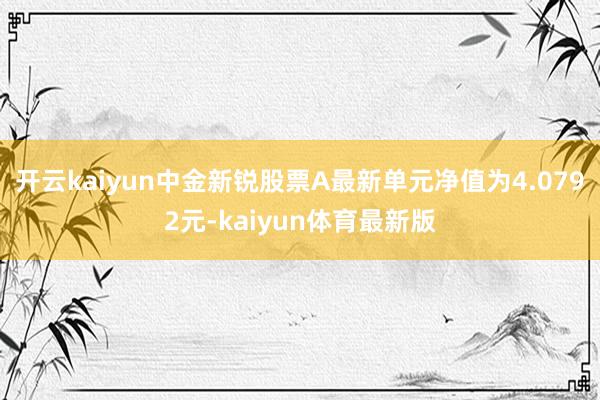 开云kaiyun中金新锐股票A最新单元净值为4.0792元-kaiyun体育最新版