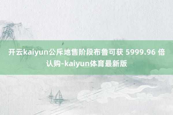 开云kaiyun公斥地售阶段布鲁可获 5999.96 倍认购-kaiyun体育最新版