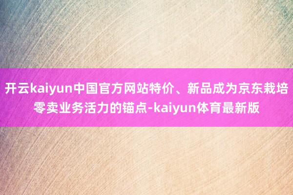 开云kaiyun中国官方网站特价、新品成为京东栽培零卖业务活力的锚点-kaiyun体育最新版